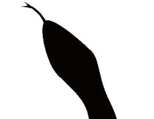 צלמית ראש זעמן מטבעות