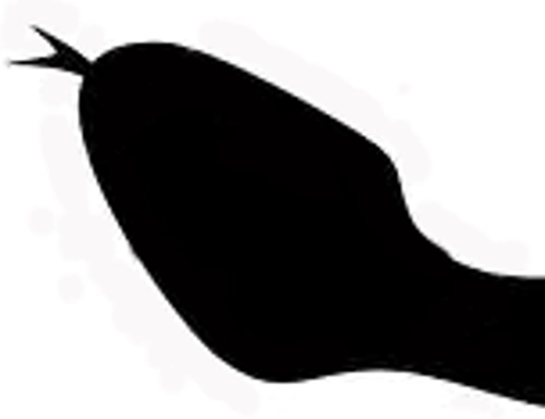 צלמית ראש צפע