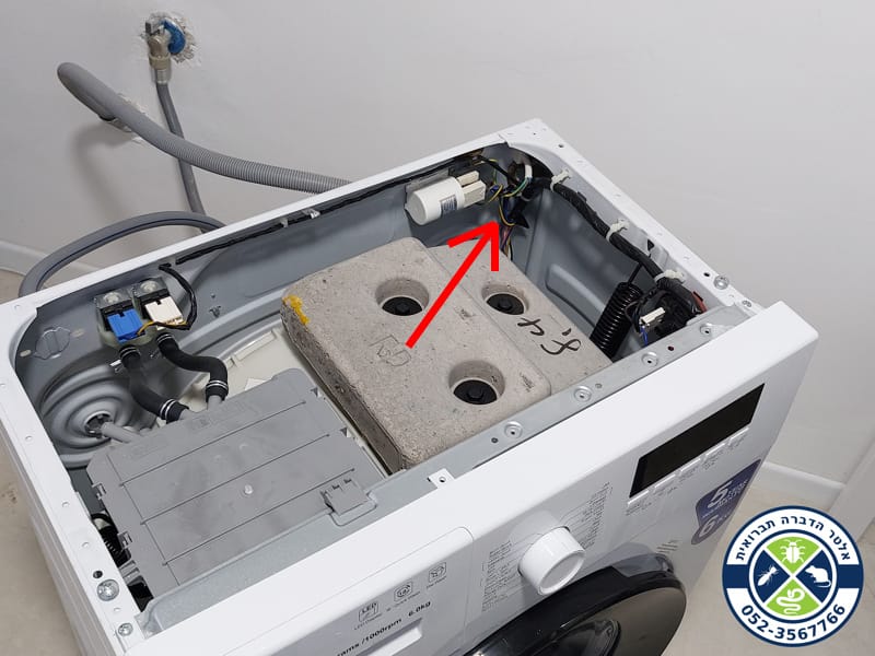 זעמן שחור מסתתר במכונת כביסה