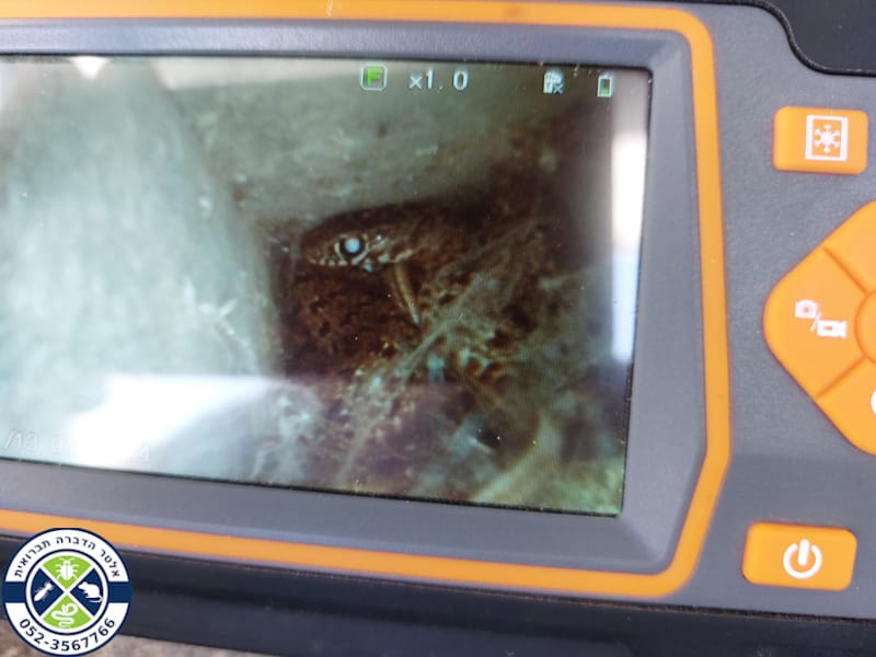 זעמן שחור צעיר בצג מצלמה