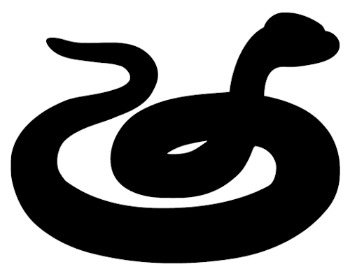 צפע מצוי- צלמית מבנה גוף