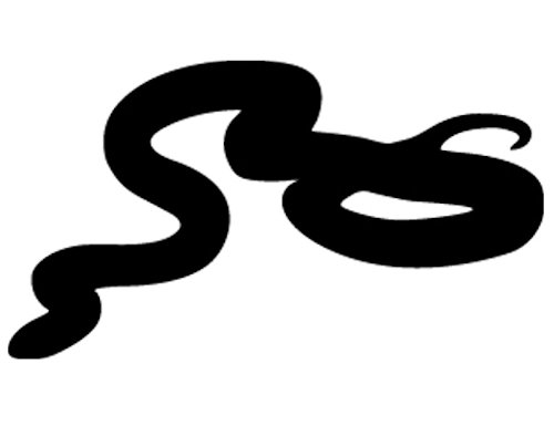 זעמן מטבעות צלמית מבנה גוף