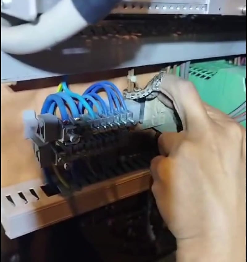 לוכד נחשים תופס זעמן מטבעות